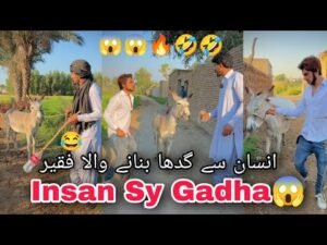 Insan Say Gdha🤣| Episode 20 | #billudgk_funy_tiktok_video | #billudgkteam  | #Gadha_bnanay_wla_baba