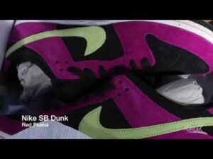 Nike Sb Dunk | Wear Test (Long-Term) |