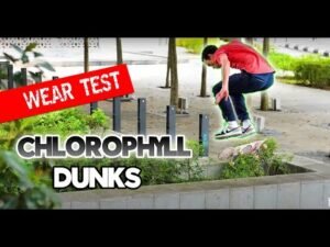 Nike SB Chlorophyll Dunks Wear Test & Review @nikesb