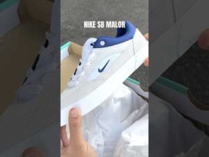 Dakota Reviews the Nike SB Malor