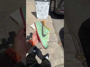 Nike Sb Dunk Low Pro Rodeo Tourmaline