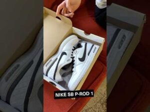 Dakota Skating the Nike SB P-Rod 1