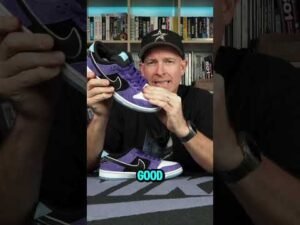 Nike SB Dunk Low Pro 'Hayley Wilson' Review 🎭