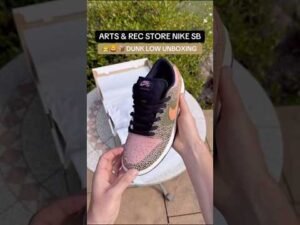 🦁🐯📦 FIRST LOOK at the upcoming @artsandrecstore x #NikeSB Dunk Low dropping July 18, 2025. #skate